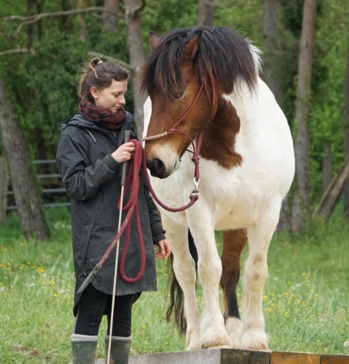 femme et cheval