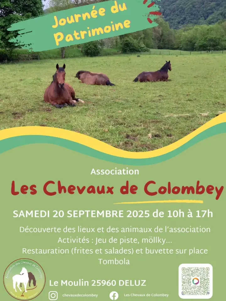 affiche avec chevaux couches